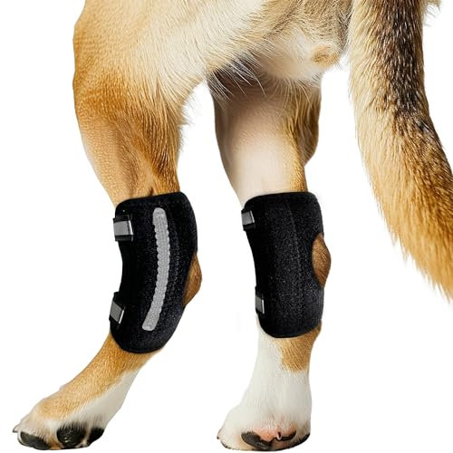 Lushnessu Hunde-Kniebandage für hinteres Bein zerrissenes ACL, Hinterbeinstütze, Gelenkverletzungs- und Verstauchungsschutz, abnehmbares Design, kommt mit 2 Federstangen und 2 Stahlstangen (M-Paar)