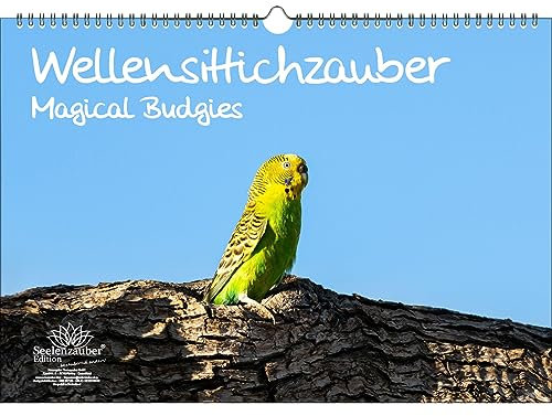 Wellensittichzauber DIN A3 Immerwährender Kalender Wellensittiche - Seelenzauber