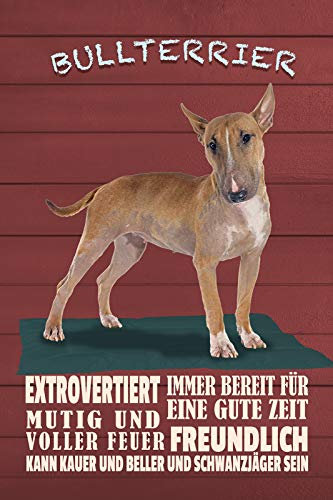 Schatzmix Spruch Hund Bullterrier Metallschild 20x30 cm Wanddeko tin Sign Blechschild, Blech, Mehrfarbig