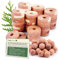 Cedar Hyde Cedar Blocks for Clothes Storage | Cedar Balls & Cedar Rings | Closet Deodorizer | Clothes Protection & Mustiness Prevention | 40 Pieces, 30 Cedar Rings & Bonus 10 Cedar Balls, U.S.A Seller