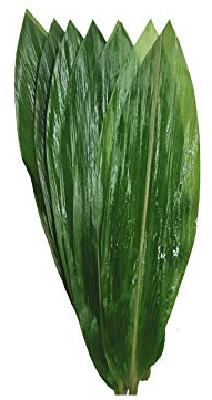 100 hojas frescas pequeñas de bambú envasadas al vacío, hojas de bambú salvaje natural para cocina japonesa, sushi, carne, vajilla, materiales de decoración - S