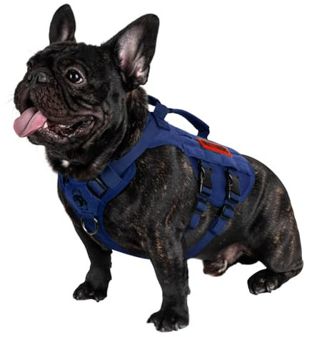 OneTigris Hundegeschirr Kleine Hunde, AIRE MESH Taktisches Anti Zug Geschirr mit 2 Griff Verstellbar Brustgeschirr No Pull Dog Harness Atmungsaktiv Blau XS