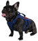 OneTigris Hundegeschirr Kleine Hunde, AIRE MESH Taktisches Anti Zug Geschirr mit 2 Griff Verstellbar Brustgeschirr No Pull Dog Harness Atmungsaktiv Blau XS