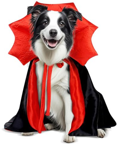 Costumi di Halloween per cani di taglia media, mantello da vampiro Border Collie americano, taglia M, rosso e nero (vampiro, L)