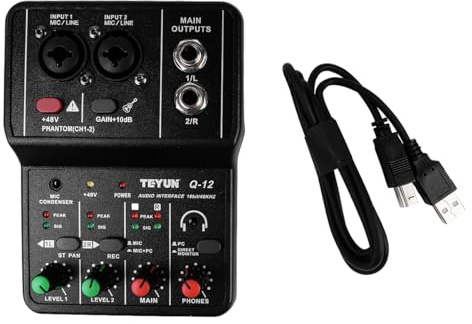 Sarini Mini Audio Mixer USB 2 Channel Professional Sound Board Console System 48V Power Mini Mixer For Live Broadcast Karaoke And Stereo Recording