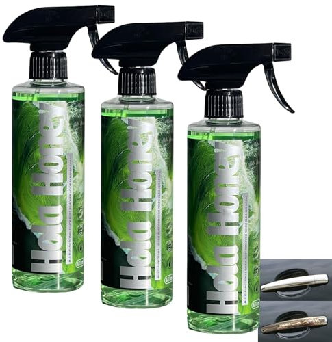 Hola Honey - Detergente antiruggine per metallo, detergente per ferro, spray antiruggine, rimozione del ferro per il trattamento dell'auto, rimozione delle macchie di ruggine ad alte prestazioni,