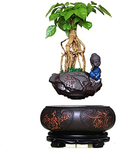 BANNESE Lévitation Air Bonsaï Pot, 360 Degrés Pot De Bonsaï Flottant À Lévitation Classical Céramique Desktop Ornements Suspension Magnétique Pot Flottant Décoration Cadeaux,A