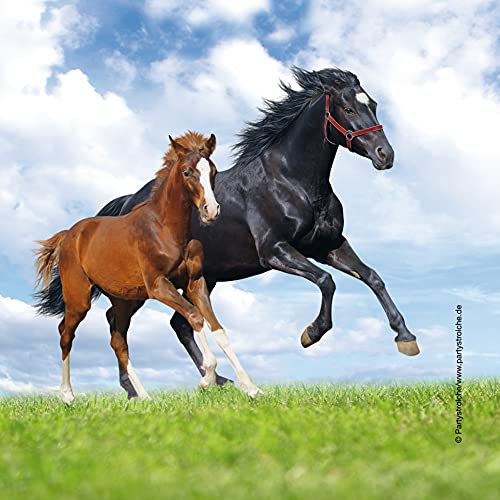 20 Servietten * PFERD & FOHLEN * für Kindergeburtstag und Mottoparty | Pferde Pony Reiten Kinder Geburtstag Papierservietten Napkins Motto Mädchen