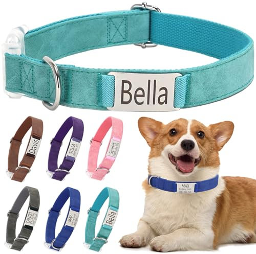 Collar de Perro Personalizado con Placa de Identificación - Etiquetas Grabadas Personalizadas, Collares únicos y Cómodos, Adecuados para Perros y Gatos Pequeños, Medianos y Grandes, (S,Verde)