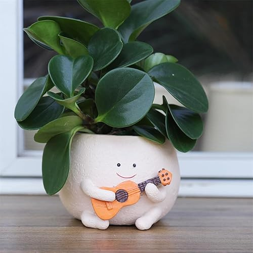 Paryou Maceta de Resina con Cara Sonriente y Orificio de Drenaje para Plantas de Interior y Exterior, Idea de Regalo para Madre o Navidad