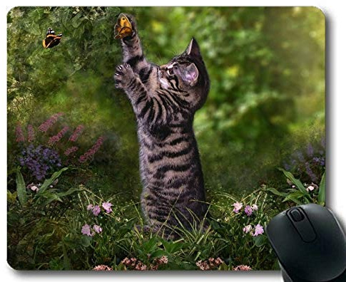 Gaming-Mauspad, Kätzchen, das tierische niedliche Katzen-Schmetterlings-Mausunterlage, Mauspad für Computer cat113 spielt