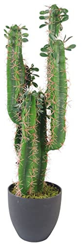 Leaf Hoja 75 cm Premium Cactus Artificial con Olla