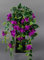 Seidenblumen Roß Bougainvillearanke 65cm lila ZF künstliche Bougainvillea Ranke Blumen Pflanzen Kunstpflanzen