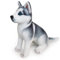 Plüschtier Hund Husky, Supersüß Kuscheltier Hund Sitzen Plüschhund Realistisches Plüsch Hund Welpe Weiches Plüsch Hundekissen Spielzeug Flauschiges Stofftier Geschenk für Kinder Mädchen