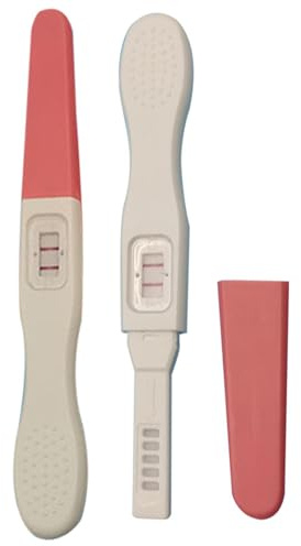 Schwangerschaftstest – Premium Ergonomic von gefälscht, vielseitig | für Aprilscherz, 2-teiliger | Multifunktional Outdoor Indoor Utility Modern Lightweight