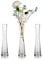 Vase À Fleurs Fin En Verre Fait À La Main:Glasseam 3 Pcs 24.5cm Moderne Simple Tige Étroit Clair Vases Salon Table Centre De Table Mince Cylindre Décoration D'Intérieur Pour Ornements De Mariage Pampa