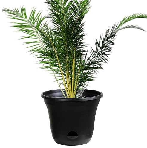 San Marino Lazy Planters - Self Watering Plant Pot Charcoal - Large Planter - Indoor & Outdoor (1 x 35cm)
