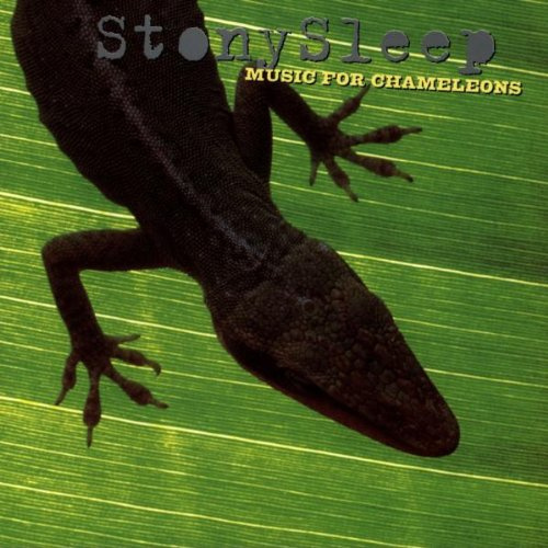 Big Cat (Rough Trade)