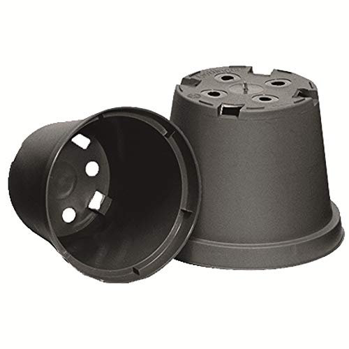 Göttinger 50 Rundtöpfe Ø 10 x 7,5 schwarz Pflanztöpfe Pflanzkübel Blumentöpfe,