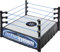 WWE Superstar Ring (35,6 cm) mit gefederter Matte & echten Flexseilen für Actionfiguren; Geschenk ab 6 Jahren