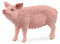 Schleich 13933 Cerdo (Farm World)