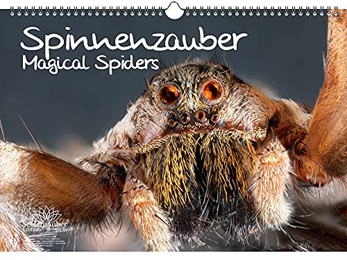 Tierzauber Spinnen DIN A3 Kalender - Immerwährender Kalender - Seelenzauber