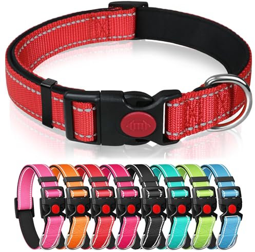 Reflective Nylon Dog Collar with Safety Buckle, Adjustable Pet Collars with Soft Neoprene Padding (Red, M)