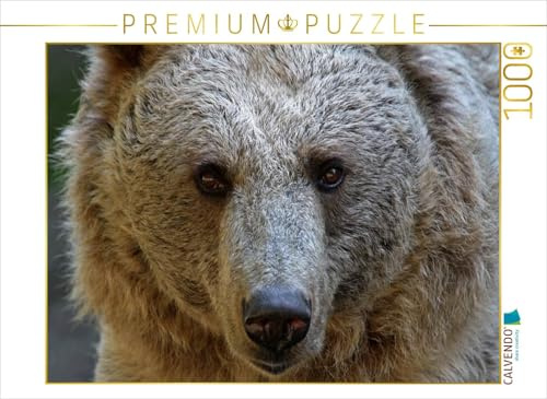CALVENDO Puzzle Syrischer Braunbär | 1000 Teile Lege-Größe 64 x 48 cm Foto-Puzzle für glückliche Stunden