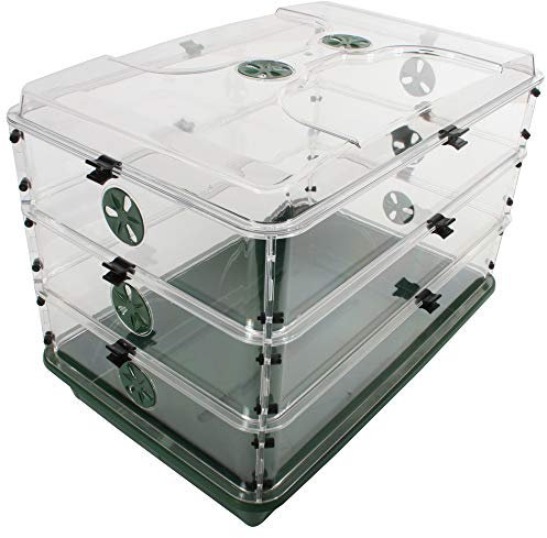 EarlyGrow 95457 Gewölbter Anzuchtkasten, 61 x 38,1 x 42,5 cm, Grün, 3 seitliche Verlängerungen und Verschlussclip-Set
