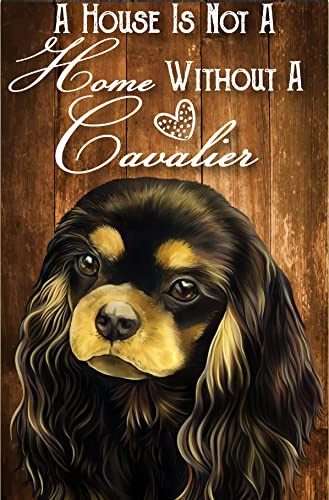 Cavalier King Charles Spaniel Black And Tan Dog Cavalier Mom Cavalier Geschenke Hund Papa Retro Metall Blechschild Poster Home Wall Art Metall Schild Home Wall Art Bar Club Vintage Blechschild 20,3 x