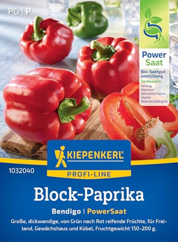Kiepenkerl Profi-Line Block-Paprikasamen Bendigo 1032040 - Powersaat - große und dickwandige Früchte - resistent - Saatgut, Samen Gemüse, Gemüsepflanzen