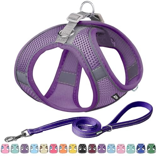 AIITLE Kleines Geschirr mit Leine - Hundeweste mit super atmungsaktivem Mesh, reflektierendes Welpengeschirr für Spaziergänge im Freien für kleine Hunde, Katzen Reines Lila XXS