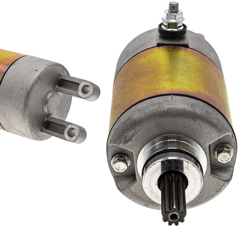 OOELAZ Motorino di Avviamento per Y&amaha Majesty 400 2005 2006 2007 2008 2009 2010 2011 2012 2013 2014 2015 4HC-81890-00-00 1B7-81890-00-00 1CO-H1800-00 Scooter