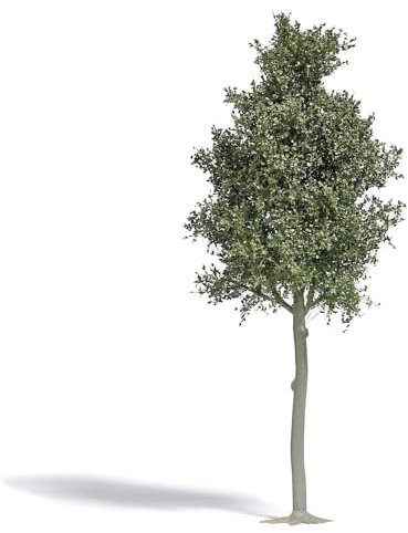 Busch 3798 Waldbuche 170 mm H0