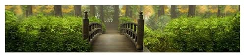 Scenolia Brise Vue Nature Jardin Zen, 500 x 100 cm (LxH), 100% occultant, Made in France Colliers de Fixation offerts