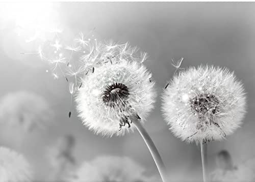 Runa Art Papier peint intissé 396 x 280 cm pissenlits | Toison Décoration Murale Salon Chambre á Coucherr | Fabrication Allemande | Noir et blanc 9459012c