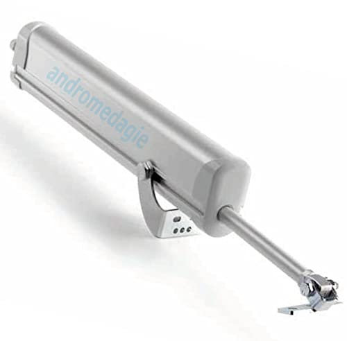 RAYWIN R60 REGULATOR Comunello - Attuatore elettrico a stelo per finestre a sporgere e lucernari (CORSA 0 ⟷ 500 mm)
