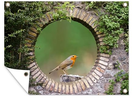 MuchoWow Outdoor-Poster Poster Wanddeko draußen Deko Garten Gartenposter 80x60 cm Vogel - Durchblick - Rotkehlchen