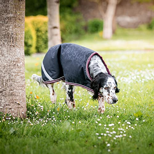Horseware Amigo Ripstop Dog Rug 100g Navy HW Print/Burgandy & White Hundedecke, Größe:X Small