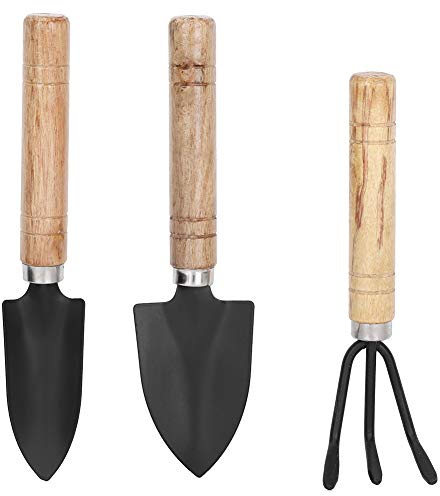 Riuulity 3pcs Mini Plant Gardening -Werkzeuge Set - Kleine Metallhandwerkzeuge, Ideal für Blumentöpfe, Zum Transplantieren, Kommakais mit Spaten, Klauenscharnis, Schaufel