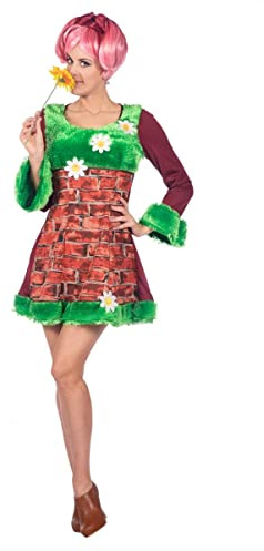 Wilbers&Wilbers Damen Kostüm Mauernblümchen Mauer Kleid Karneval Fasching Gr. 38