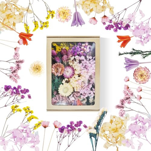 Trockenblumen Trockenblumen zum Basteln Trockenblumen Klein Natürliche Getrocknete Blumen Dried Flowers Trockenblumen Bunt Trocken Blumen Trockenblume für Kerzen Deko DIY Scrapbooking (Buntes)