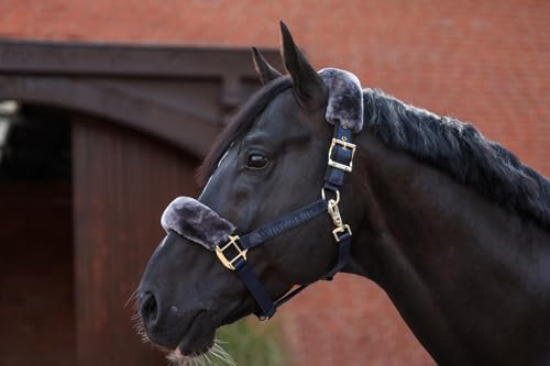 Bucas Show-Line Half Fur Halfter