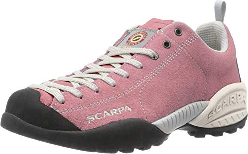 Scarpa Herren Mojito Traillaufschuhe, Cipria BM Spider, 42.5 EU