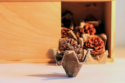 Feuerstark Premium Anzünder, aus reinen Naturmaterialien (40)