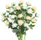 JUSTOYOU 20 PCS Rose künstliche, doppelte Farbe Seide blühende Rose mit Stiel, künstliche Rose Bouquet Realistische Blume für Home Table Office Party Hochzeit Garten Arrangements (Champagner,weiß)