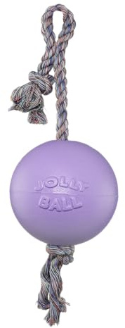 Jolly Pets Romp-n-Roll Rope and Ball Dog Toy, 8 Inches/Large, Light Purple