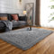 Evitany Flauschiger Teppich Wohnzimmer,Hochflor Waschbare rutschfeste Teppich Schlafzimmer,Ultra Weiche Bettvorleger,Kleiner Carpet für Kinderzimmer,Büro, Lounge(Grau, 80x120 cm)