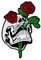 Clj Charles Le Jeune Pin's Tête De Mort Et Roses Rouges - Tête de mort - qualité de finition - Epingle - Broche - Badge - PINS GOTHIQUES