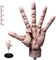 Hand Mannequin, PVC 1/1 Skala Handmodell, bewegliche Gelenk Mannequin Hand mit Basis, Manikin Hand zum Zeichnen von Malerei, Skizzieren (Stil 2)